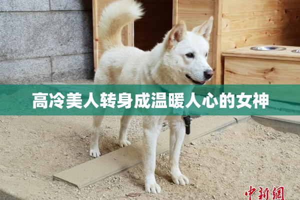 高冷美人转身成温暖人心的女神