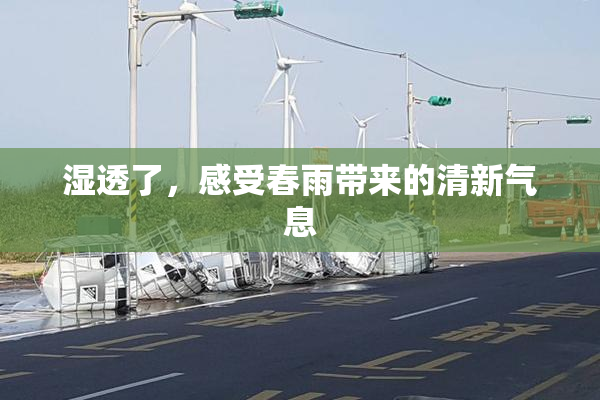 湿透了，感受春雨带来的清新气息