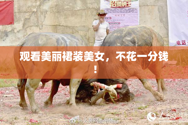 观看美丽裙装美女，不花一分钱！