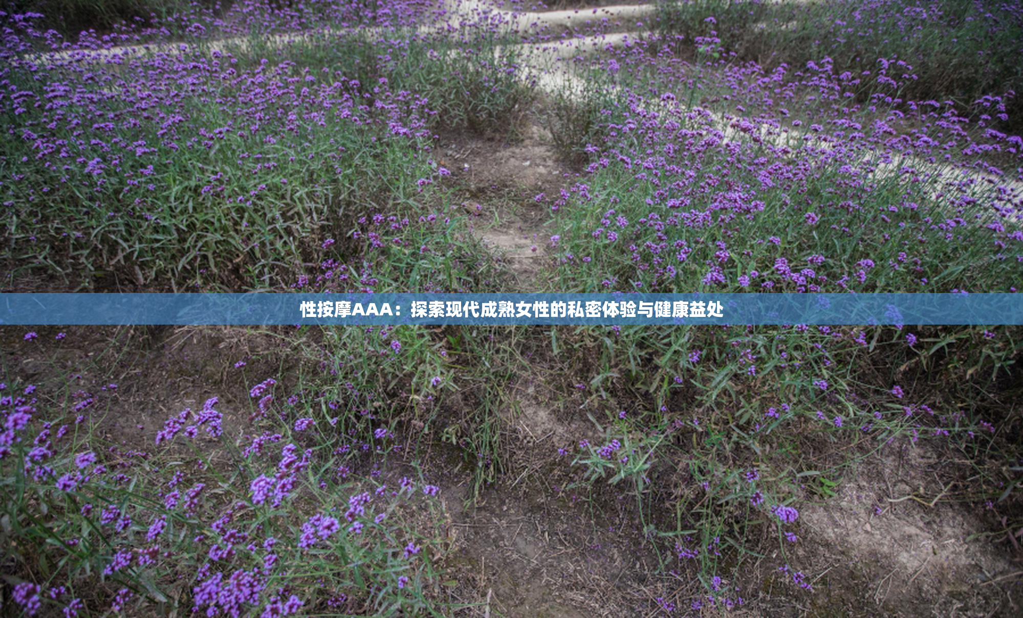 性按摩AAA：探索现代成熟女性的私密体验与健康益处