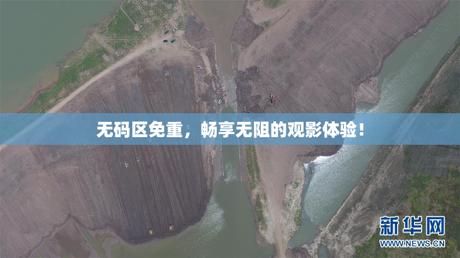 无码区免重，畅享无阻的观影体验！