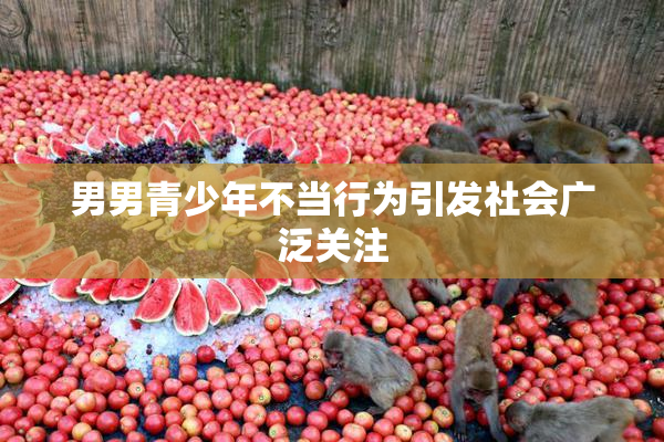 男男青少年不当行为引发社会广泛关注