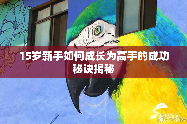 15岁新手如何成长为高手的成功秘诀揭秘
