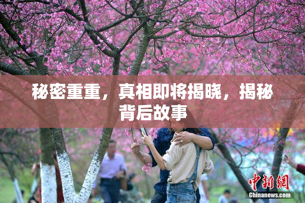 秘密重重，真相即将揭晓，揭秘背后故事