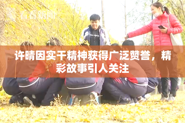 许晴因实干精神获得广泛赞誉，精彩故事引人关注