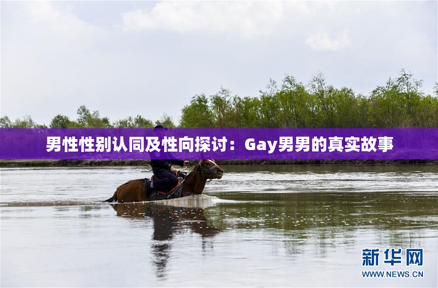 男性性别认同及性向探讨：Gay男男的真实故事