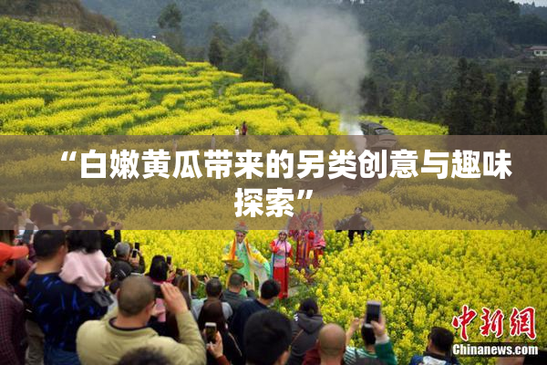“白嫩黄瓜带来的另类创意与趣味探索”