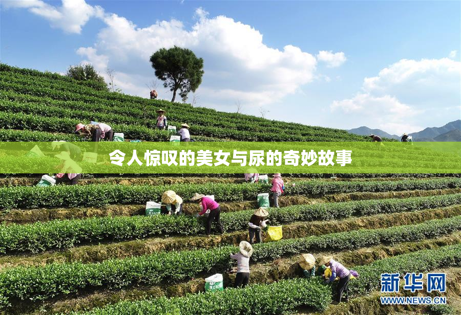 令人惊叹的美女与尿的奇妙故事