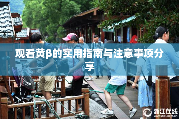 观看黄β的实用指南与注意事项分享