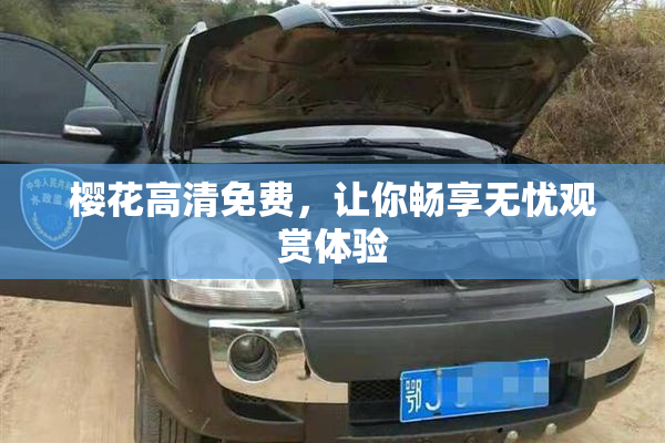 樱花高清免费，让你畅享无忧观赏体验