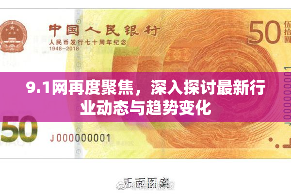 9.1网再度聚焦，深入探讨最新行业动态与趋势变化