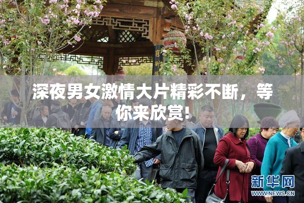 深夜男女激情大片精彩不断，等你来欣赏!