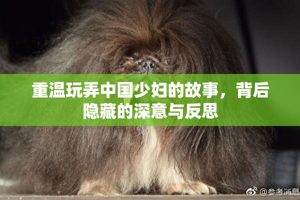 重温玩弄中国少妇的故事，背后隐藏的深意与反思
