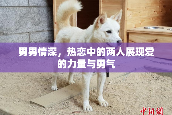 男男情深，热恋中的两人展现爱的力量与勇气