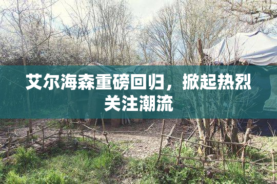 艾尔海森重磅回归，掀起热烈关注潮流