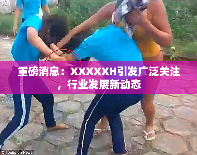 重磅消息：XXXXXH引发广泛关注，行业发展新动态