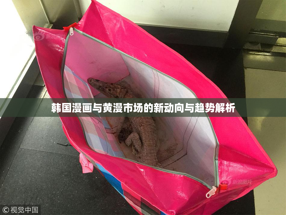 韩国漫画与黄漫市场的新动向与趋势解析
