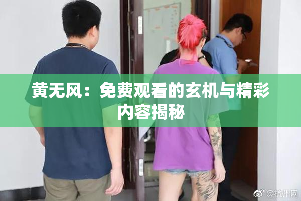 黄无风：免费观看的玄机与精彩内容揭秘