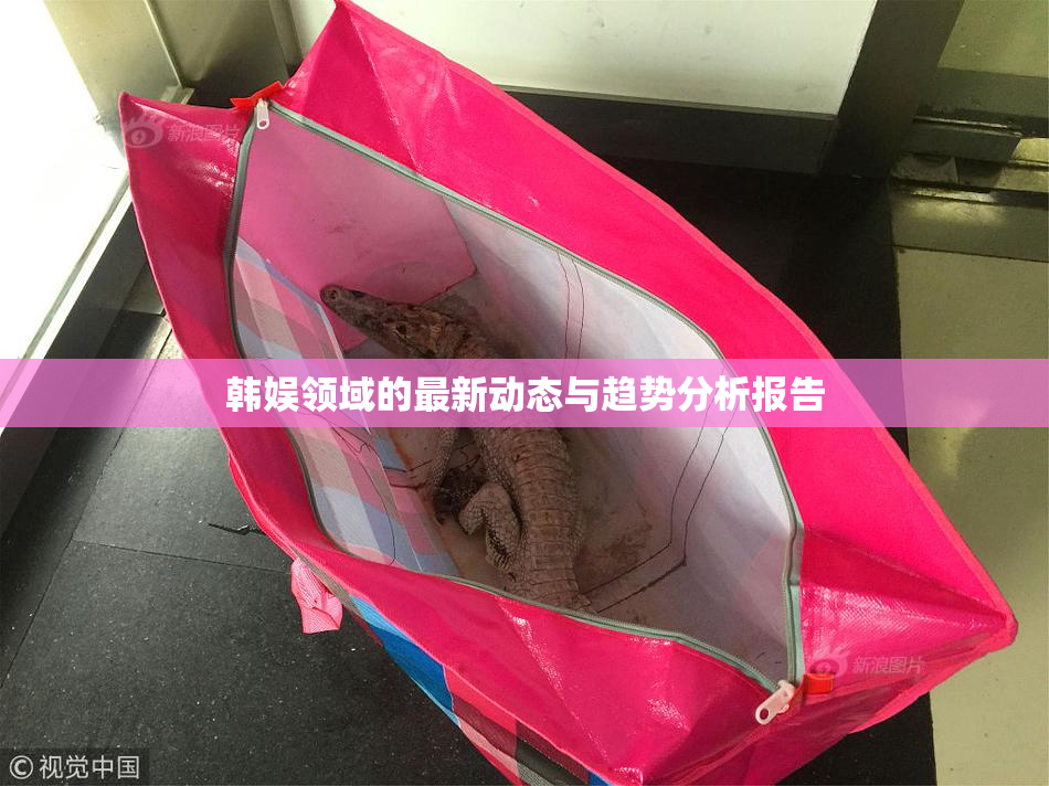 韩娱领域的最新动态与趋势分析报告