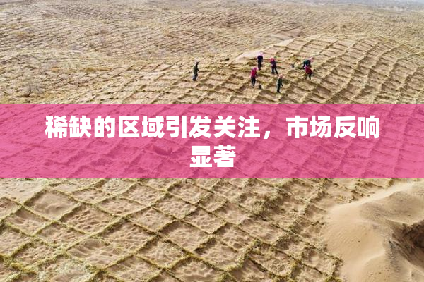 稀缺的区域引发关注，市场反响显著