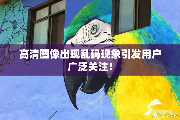 高清图像出现乱码现象引发用户广泛关注！
