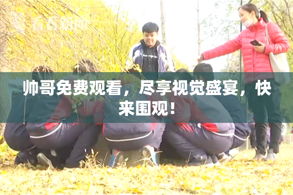 帅哥免费观看，尽享视觉盛宴，快来围观！
