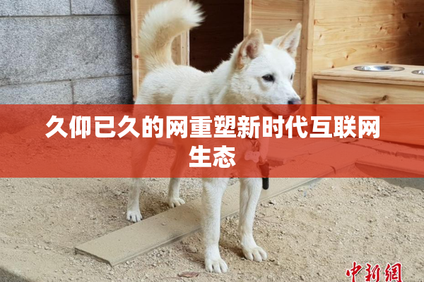 久仰已久的网重塑新时代互联网生态