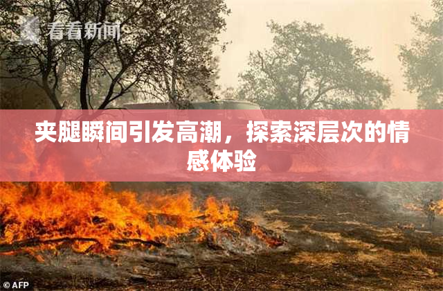 夹腿瞬间引发高潮，探索深层次的情感体验