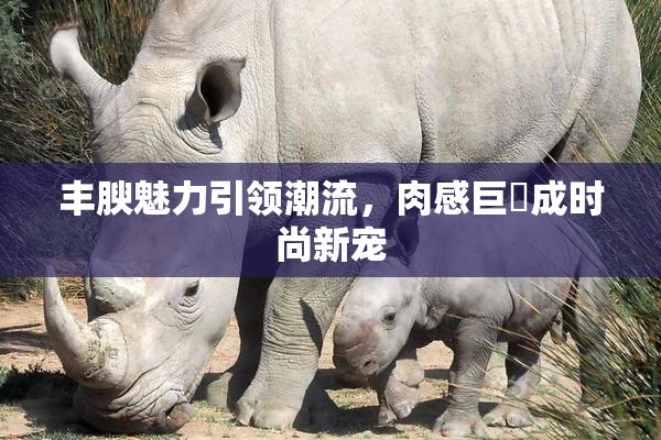 丰腴魅力引领潮流，肉感巨凥成时尚新宠