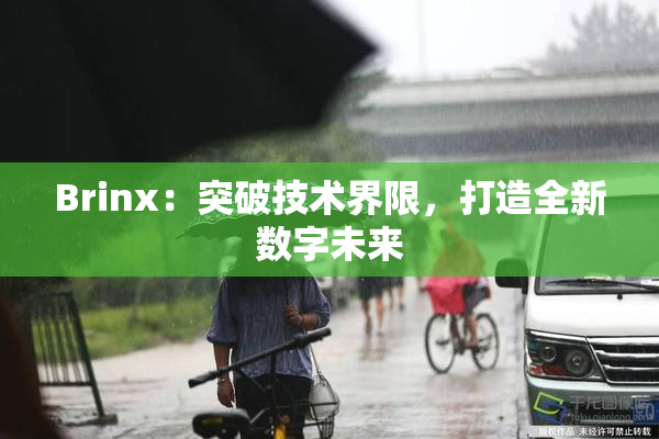 Brinx：突破技术界限，打造全新数字未来