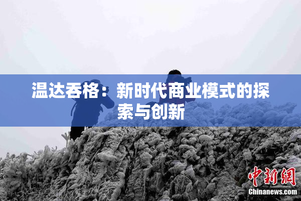 温达吞格：新时代商业模式的探索与创新