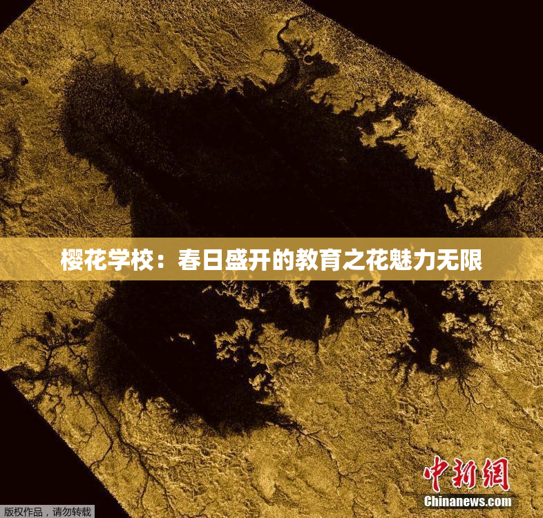 樱花学校：春日盛开的教育之花魅力无限