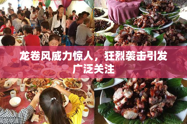 龙卷风威力惊人，狂烈袭击引发广泛关注