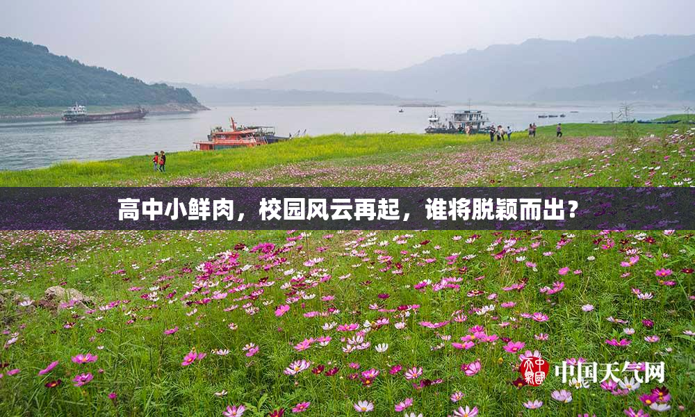 高中小鲜肉，校园风云再起，谁将脱颖而出？