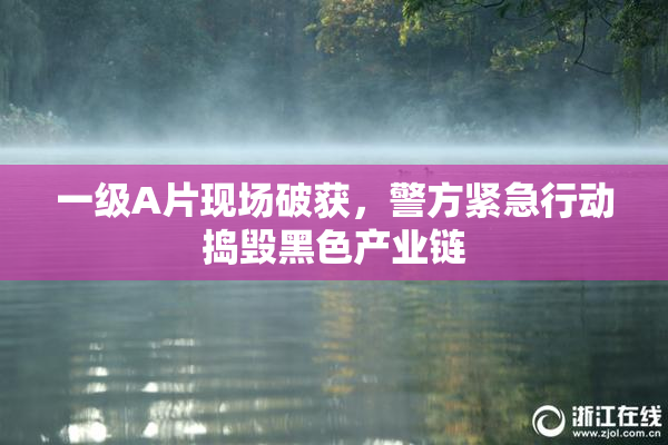 一级A片现场破获，警方紧急行动捣毁黑色产业链