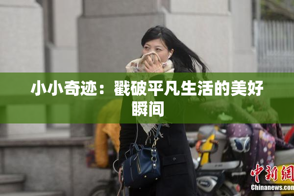 小小奇迹：戳破平凡生活的美好瞬间