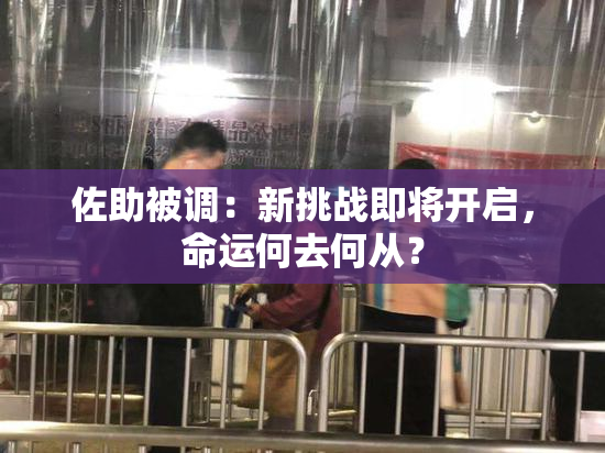 佐助被调：新挑战即将开启，命运何去何从？