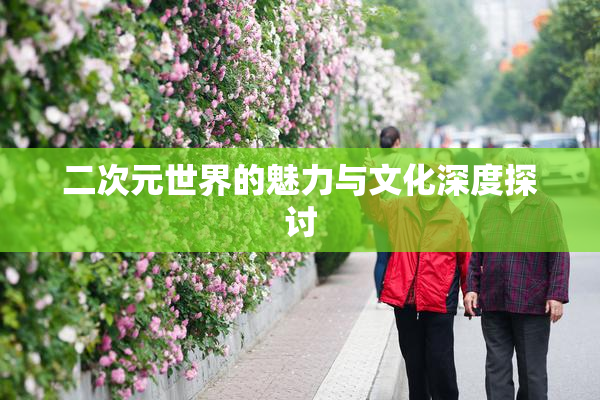 二次元世界的魅力与文化深度探讨