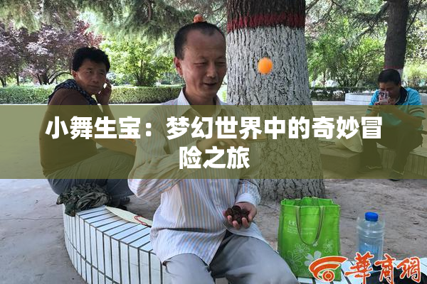 小舞生宝：梦幻世界中的奇妙冒险之旅