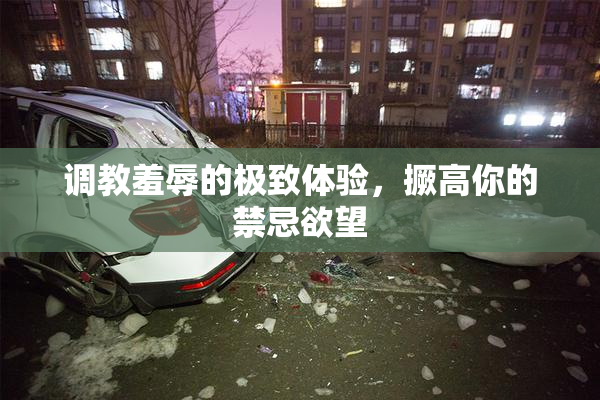 调教羞辱的极致体验，撅高你的禁忌欲望