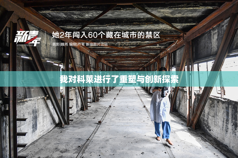 我对科莱进行了重塑与创新探索