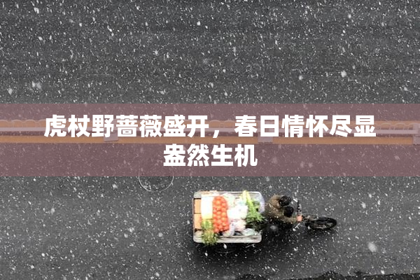 虎杖野蔷薇盛开，春日情怀尽显盎然生机