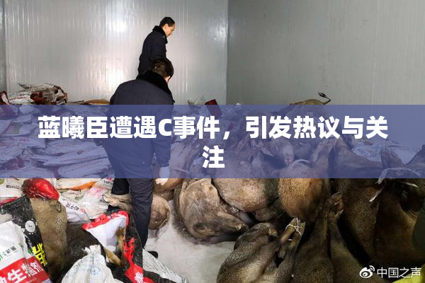 蓝曦臣遭遇C事件，引发热议与关注