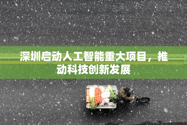 深圳启动人工智能重大项目，推动科技创新发展