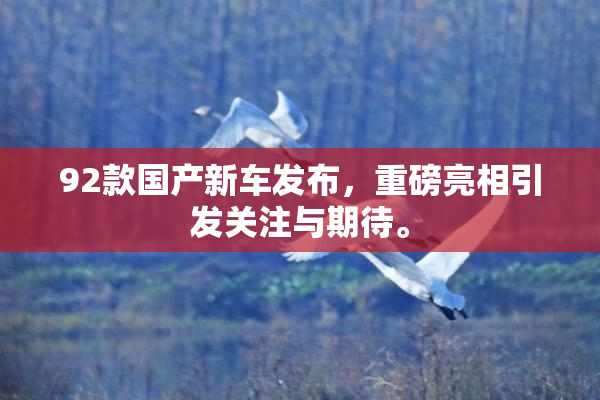 92款国产新车发布，重磅亮相引发关注与期待。