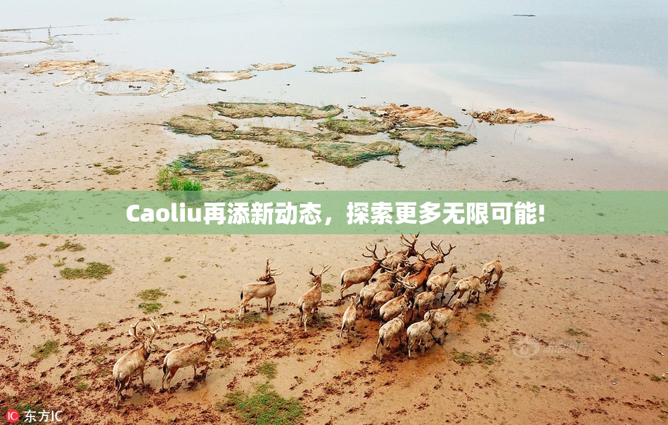 Caoliu再添新动态，探索更多无限可能!