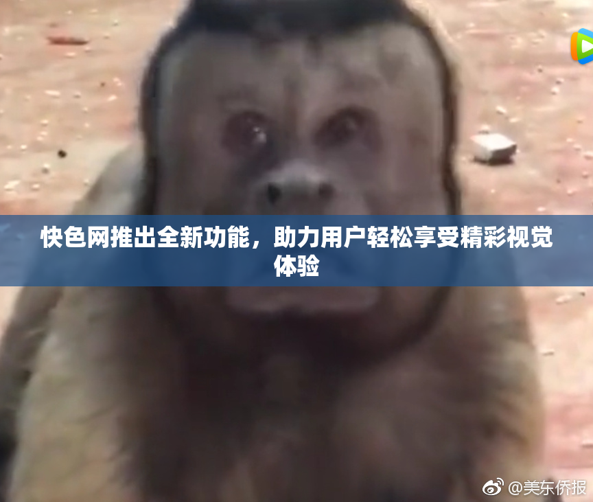 快色网推出全新功能，助力用户轻松享受精彩视觉体验
