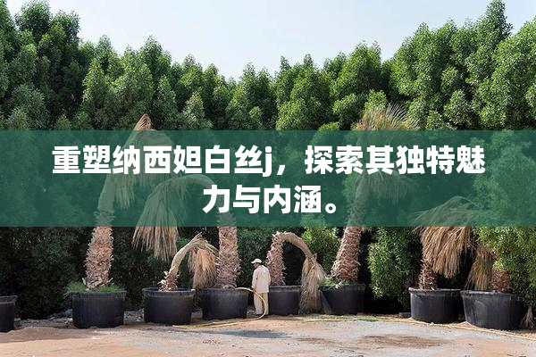 重塑纳西妲白丝j，探索其独特魅力与内涵。