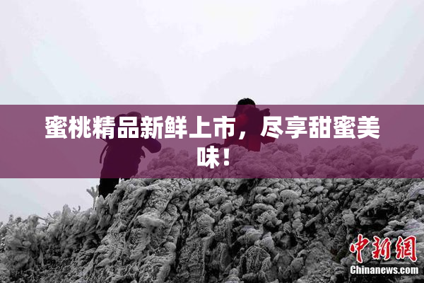 蜜桃精品新鲜上市，尽享甜蜜美味！
