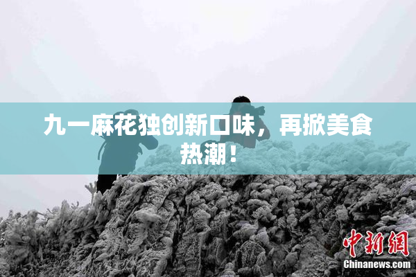 九一麻花独创新口味，再掀美食热潮！
